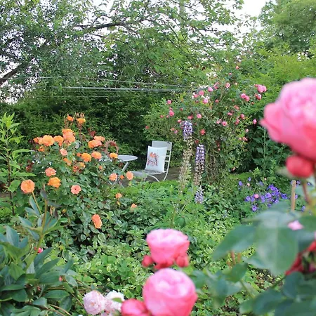 Mayischhof Апартаменты