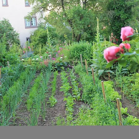 Mayischhof Апартаменты Lauperath