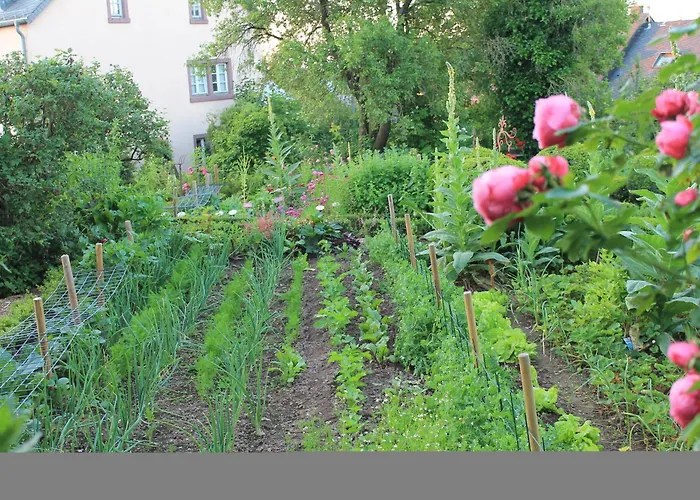 Mayischhof דירה Lauperath